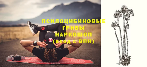 mdpv Армянск