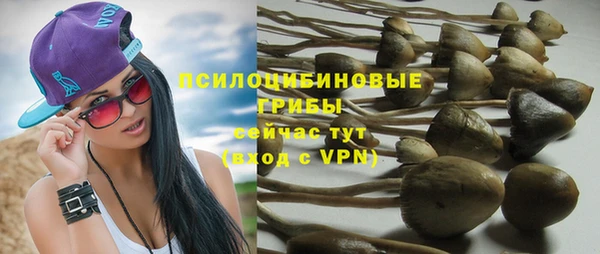 стафф Алзамай