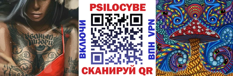 Галлюциногенные грибы GOLDEN TEACHER  цены наркотик  нарко площадка какой сайт  Ковылкино 
