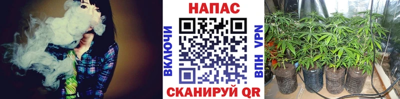 Конопля SATIVA & INDICA  Ковылкино 
